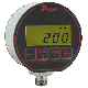 Series DPG-200 Digital Pressure Gage