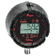 Series DSGT Digital Indicating Transmitter