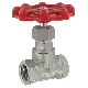 Series HGV Hand Operated Globe Valve