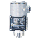 Series SA1100 Diaphragm Operated Pressure Switches