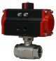 Series WE08 2-Piece NPT Brass Ball Valve